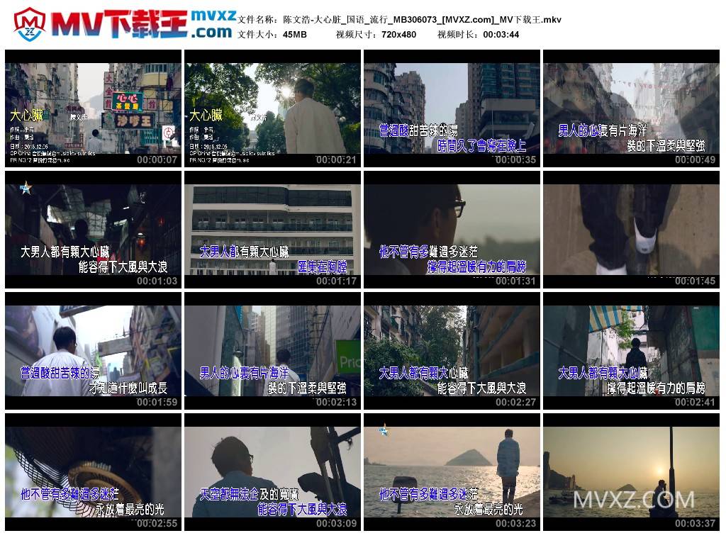 陈文浩-大心脏_国语_流行_MB306073